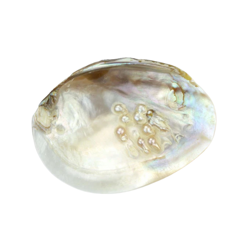 Translation missing: en.Mother of Pearl: Mother of Pearl