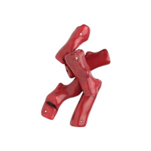 Translation missing: en.Red Coral: Red Coral